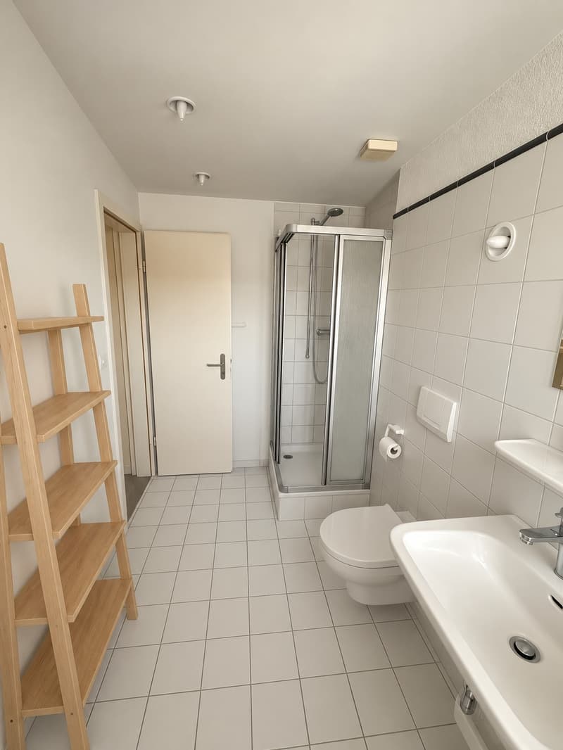 Charmante 2.5-Zimmer-Dachwohnung im Mattenhofquartier  Nachmieter gesucht 1. Dez. (5)