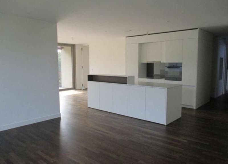 Modern and Spacious 3.5-Room Apartment in Luzern Available from 1 December 2026 (1)