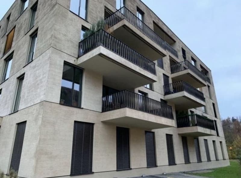 Modern and Spacious 3.5-Room Apartment in Luzern Available from 1 December 2026 (2)