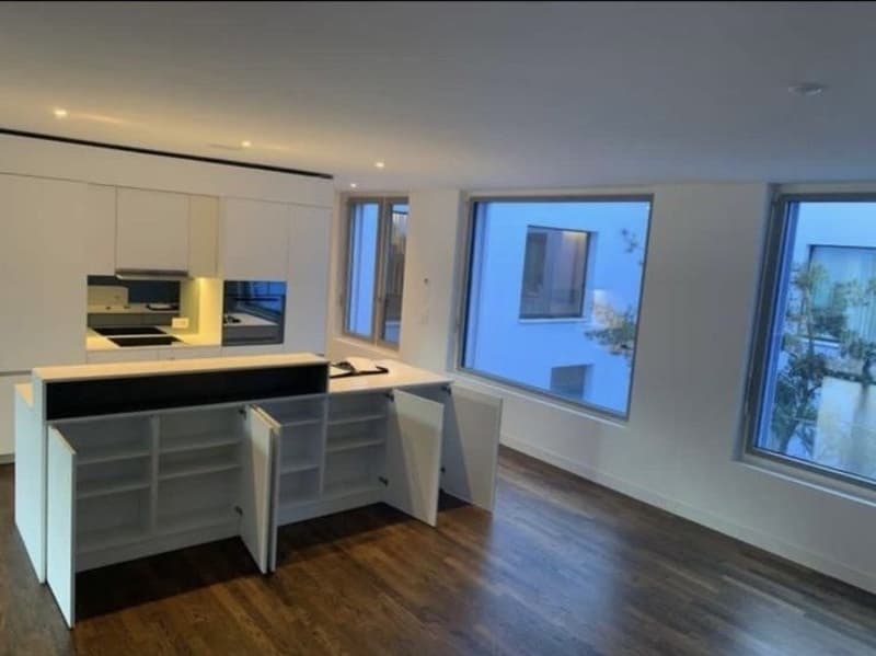 Modern and Spacious 3.5-Room Apartment in Luzern Available from 1 December 2026 (7)