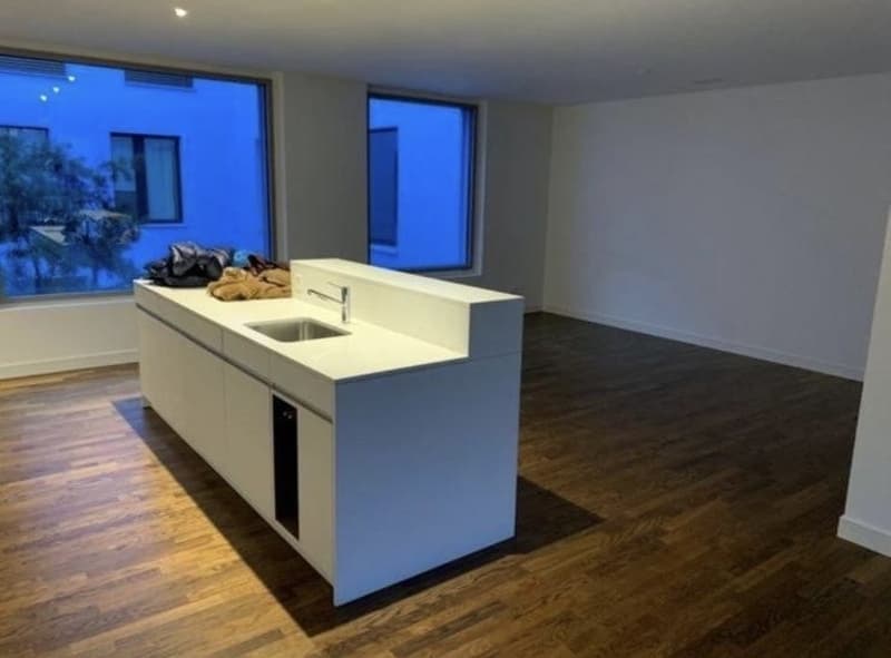 Modern and Spacious 3.5-Room Apartment in Luzern Available from 1 December 2026 (6)
