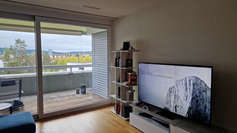 Nachmieter:in gesucht für 2.5 Zimmerwohnung an der Seuzacherstrasse 7a (2)