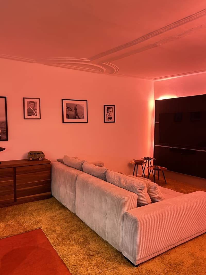 40 m² WG-Zimmer mit historischer Stuckdecke im Herzen der Altstadt Winterthur. Alle Nebenkosten inklusive! (8)