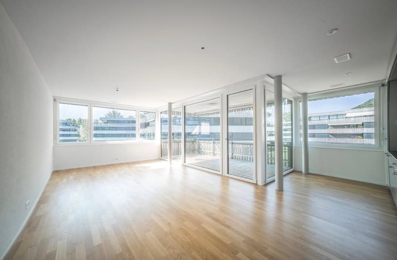 Wunderschöne, helle 2,5 Zimmer-Wohnung zentral in Aarburg (1)