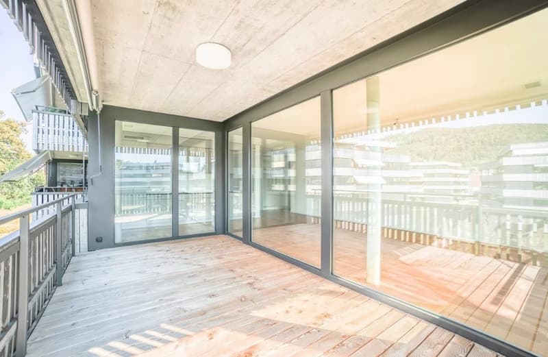 Wunderschöne, helle 2,5 Zimmer-Wohnung zentral in Aarburg (4)