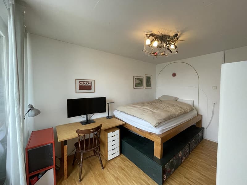 Cosy room surrounded by nature in Zurich Affoltern (12)