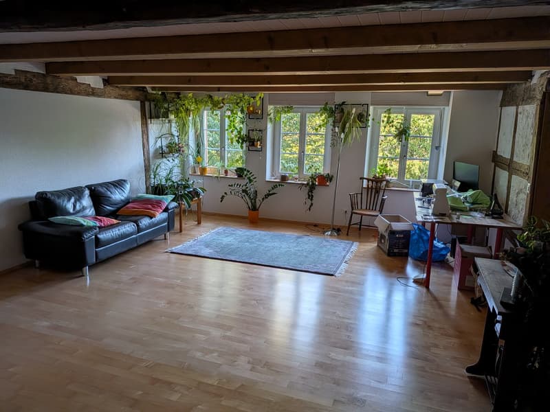 Zwei helle Zimmer in gemütlicher 4er-Maisonette (212 m²) in Winterthur-Oberi (6)