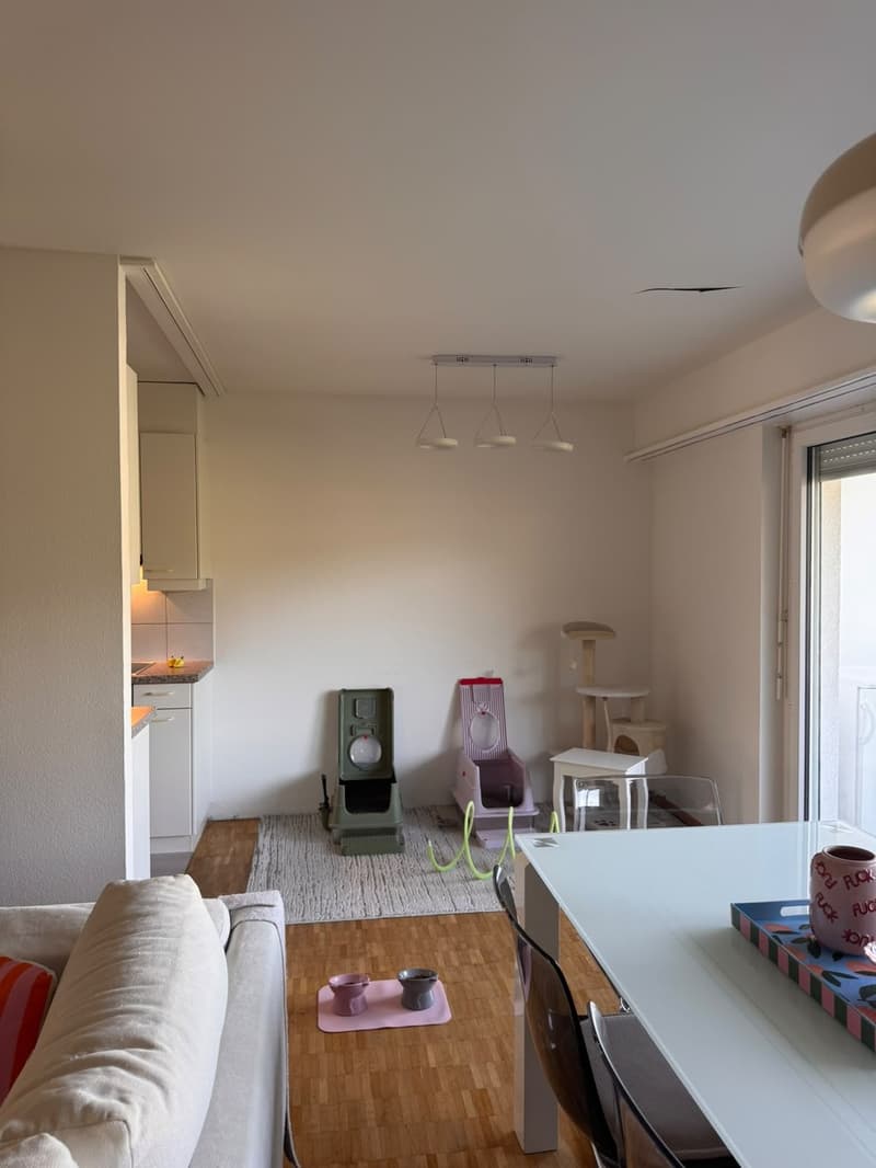 3.5-Zimmer-Wohnung in Grellingen (Basel-Landschaft) CHF 1'390 (9)