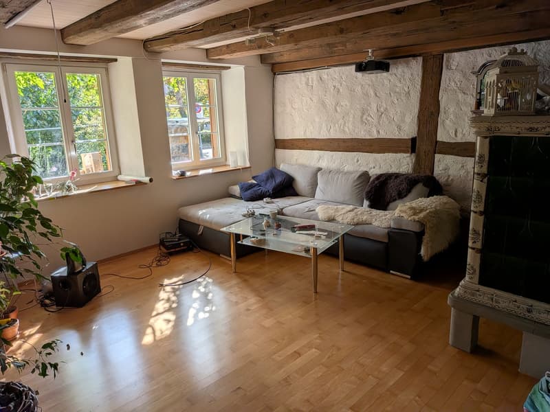 Zwei helle Zimmer in gemütlicher 4er-Maisonette (212 m²) in Winterthur-Oberi (5)