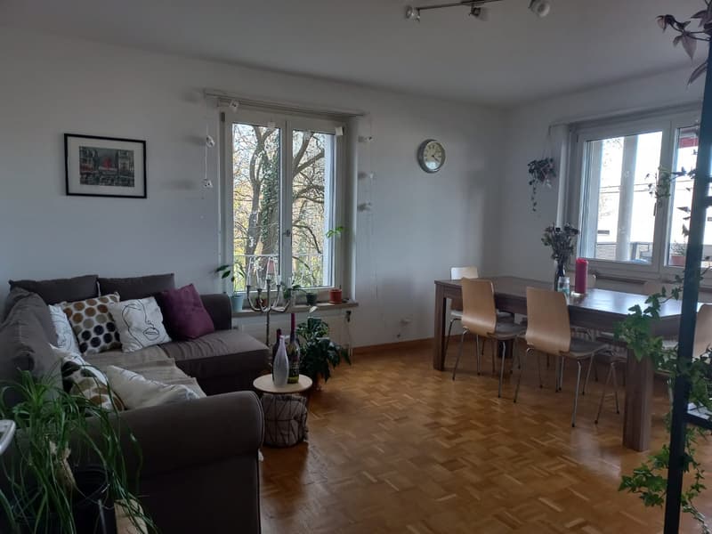 WG Zimmer, 1700 Fribourg (3)