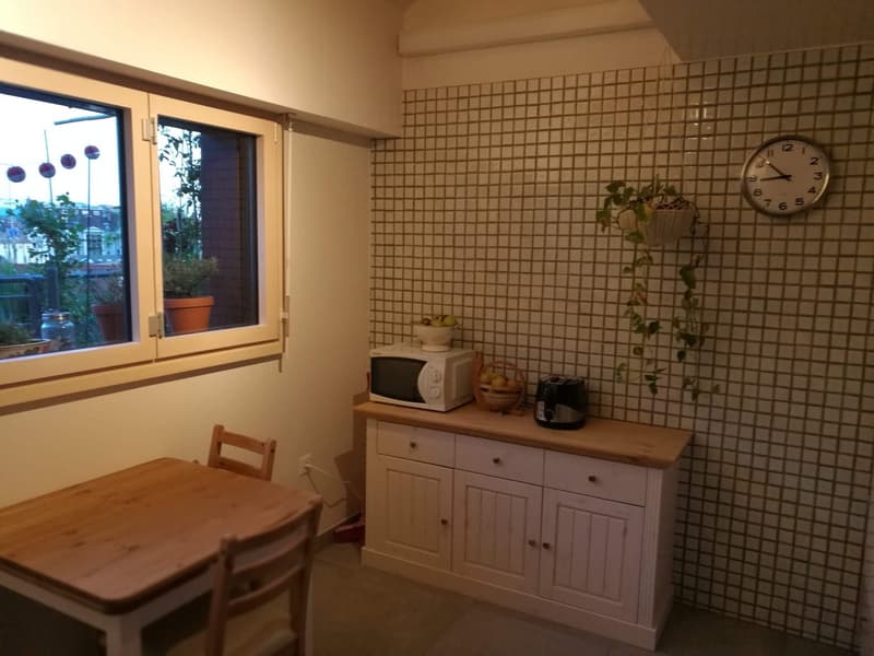Bright 2.5-room attic apartment with terrace in the heart of Lausanne (8)
