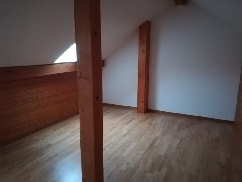 Bright 2.5-room attic apartment with terrace in the heart of Lausanne (7)