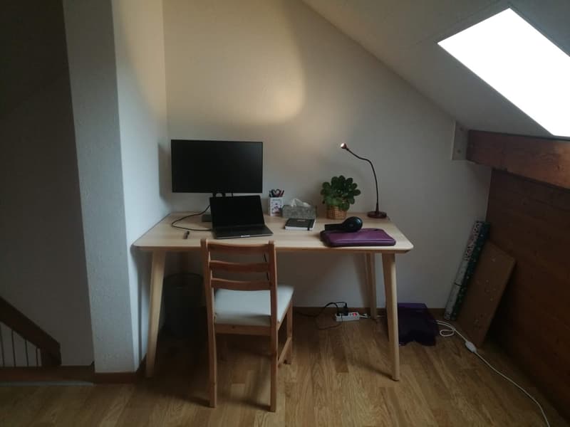 Bright 2.5-room attic apartment with terrace in the heart of Lausanne (6)