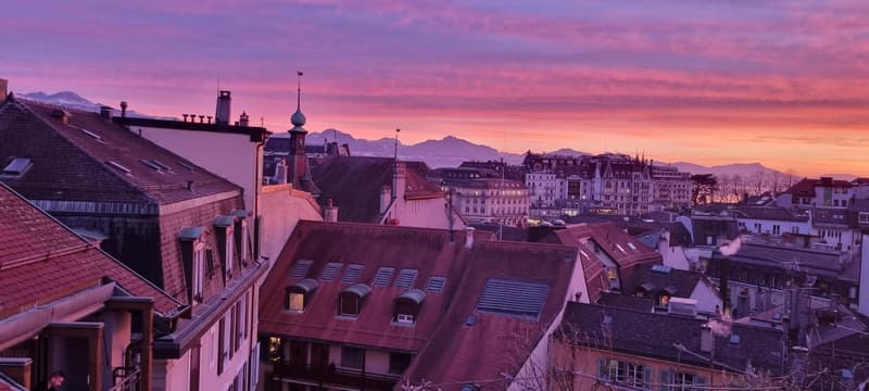 Bright 2.5-room attic apartment with terrace in the heart of Lausanne (3)