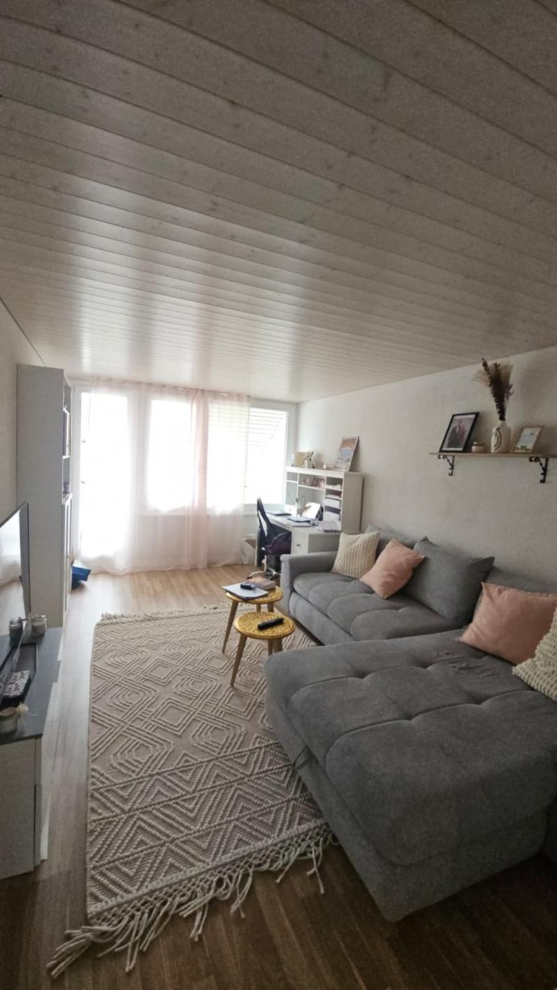 Gemütliche Dachwohnung (2)