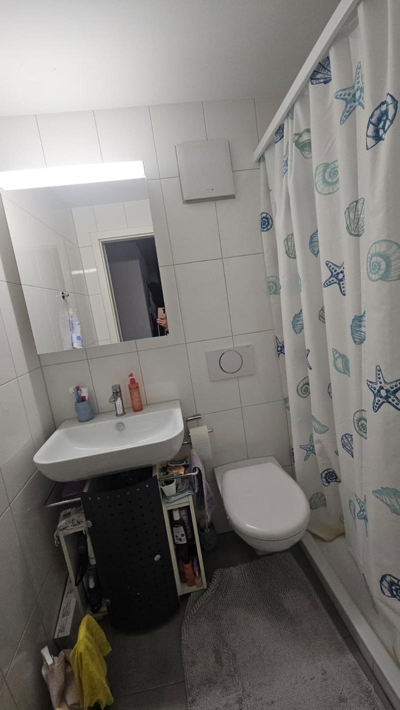 Gemütliche Dachwohnung (8)