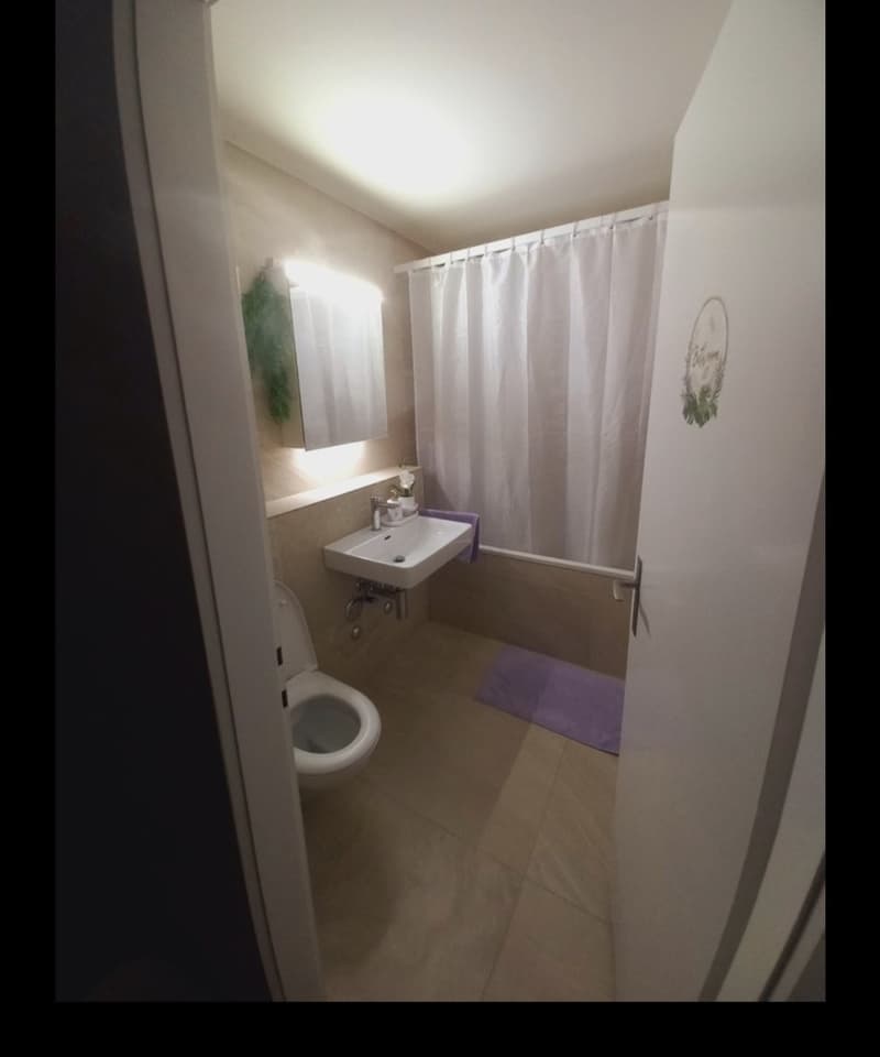 3 ½ Zimmer-Wohnung, 8305 Dietlikon (7)