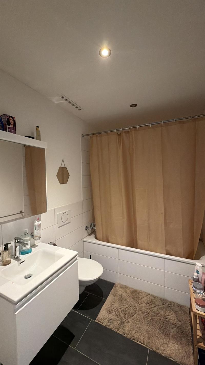 Wunderschöne 2.5-Zimmerwohnung (3)