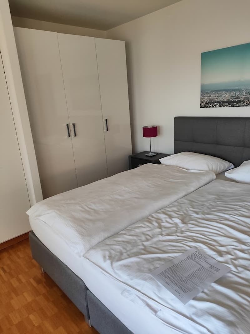 Comfortable 45M Studio in quiet Zurich location (4)