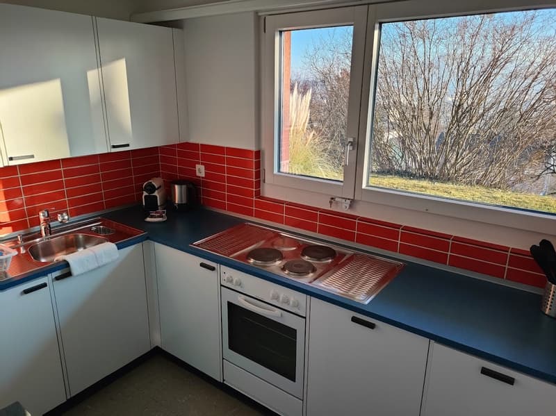 Comfortable 45M Studio in quiet Zurich location (3)