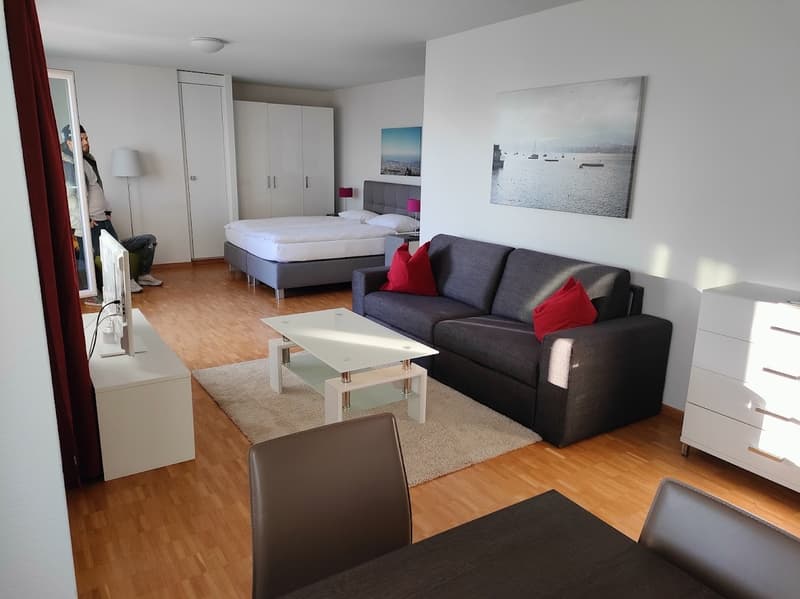Comfortable 45M Studio in quiet Zurich location (1)
