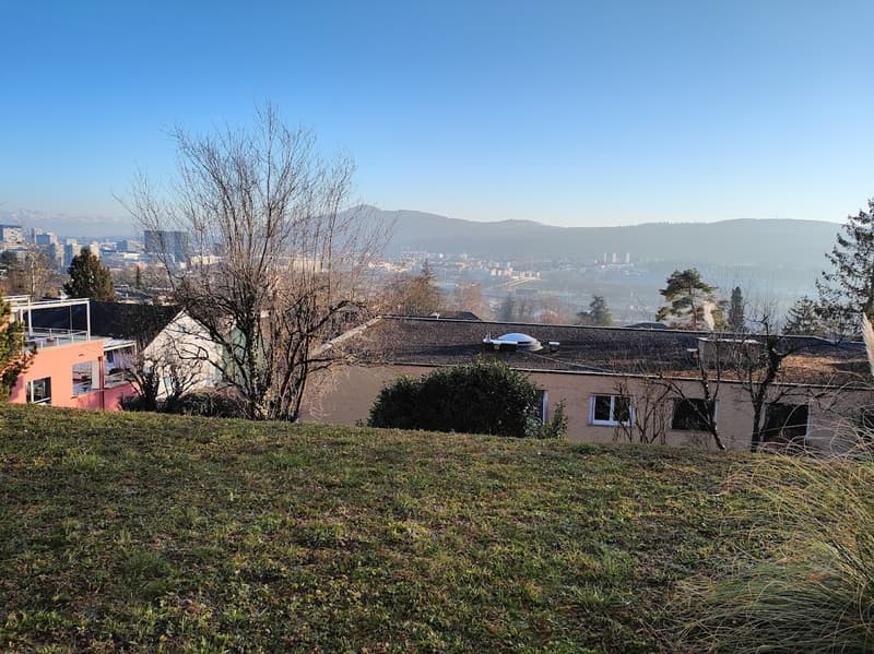Comfortable 45M Studio in quiet Zurich location (6)