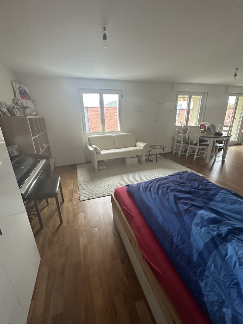 Schöne, helle 1.5 Zimmer Wohnung mit Balkon in bahnhofsnähe (2)