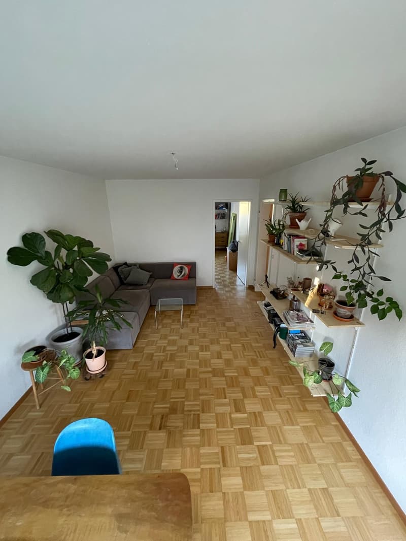 3-Zimmer-Wohnung im gemütlichen Muesmatt-Quartier per 01.12.2026 (5)