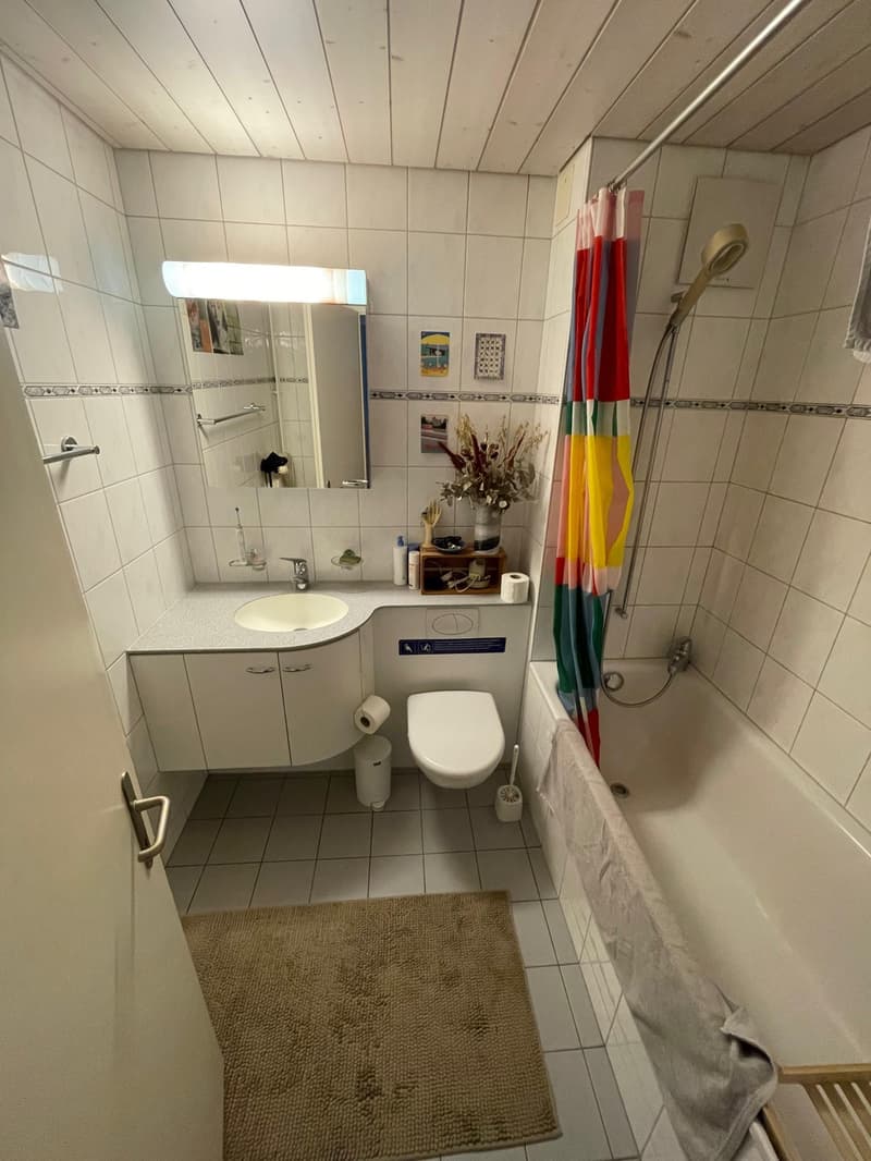 3-Zimmer-Wohnung im gemütlichen Muesmatt-Quartier per 01.12.2026 (11)