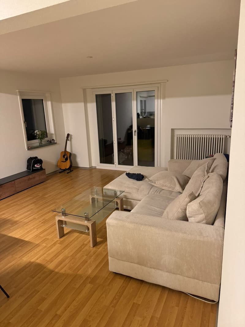 Bright and Spacious 3-room aparment (6)