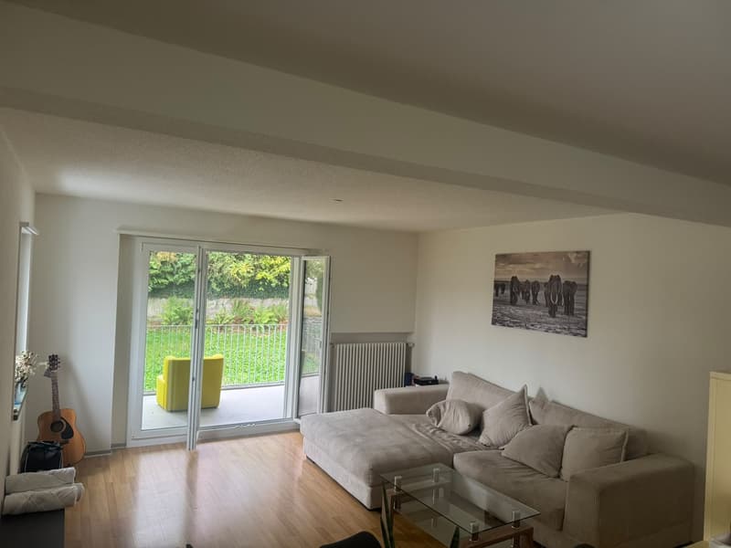 Bright and Spacious 3-room aparment (4)