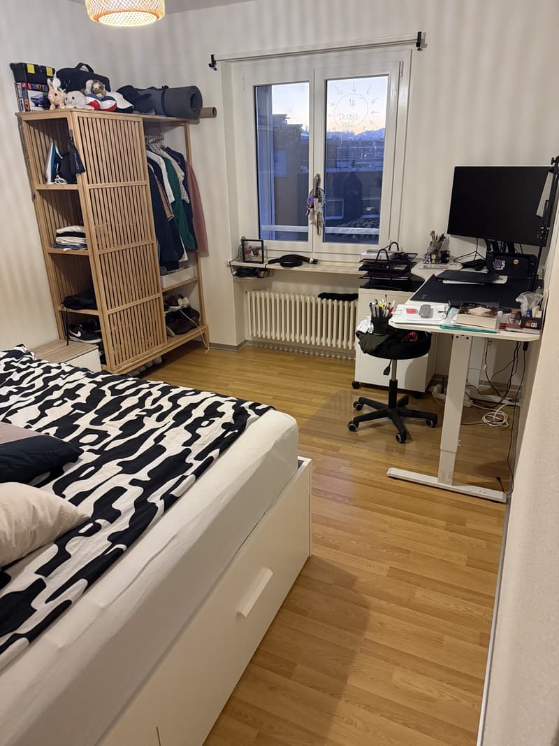 Bright and Spacious 3-room aparment (9)