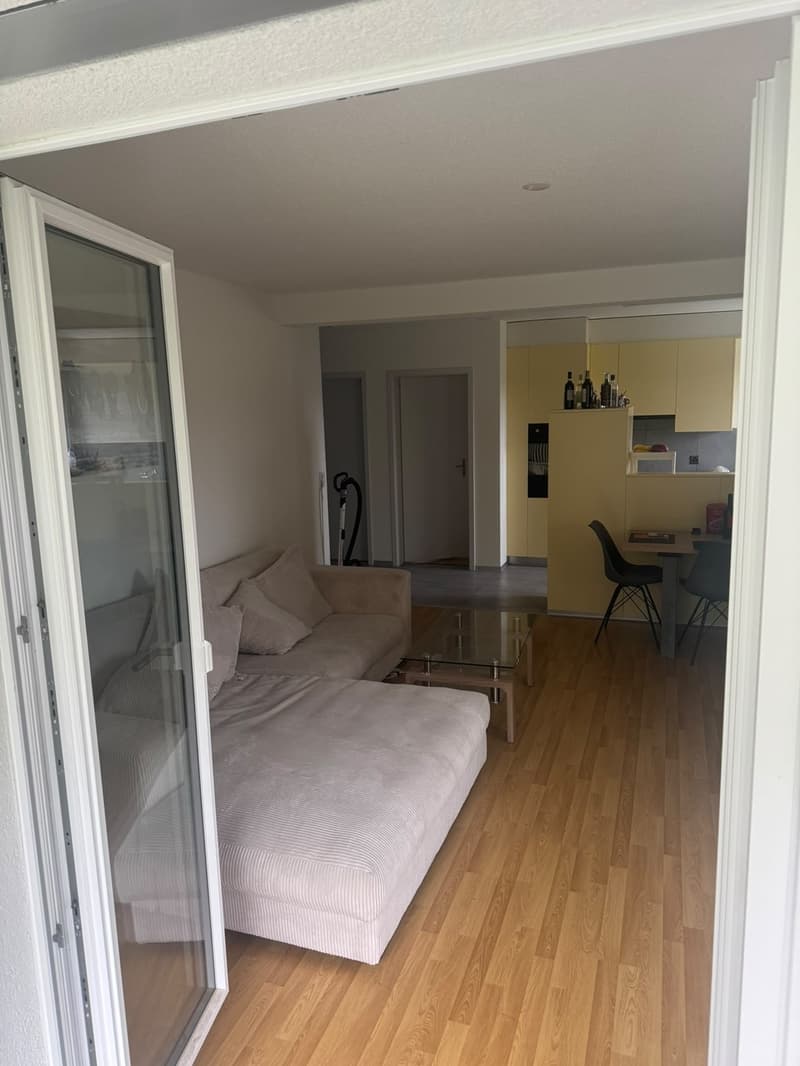 Bright and Spacious 3-room aparment (1)