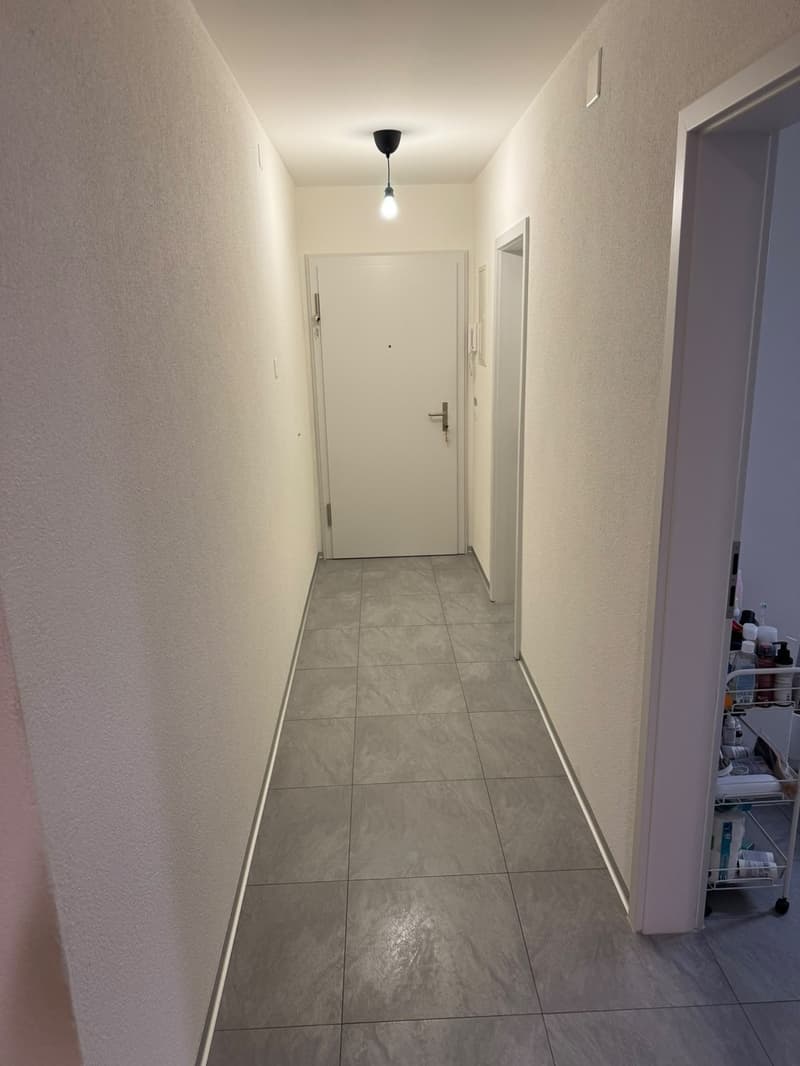 Bright and Spacious 3-room aparment (5)