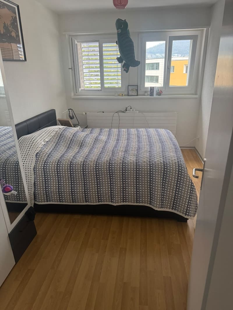 Bright and Spacious 3-room aparment (7)