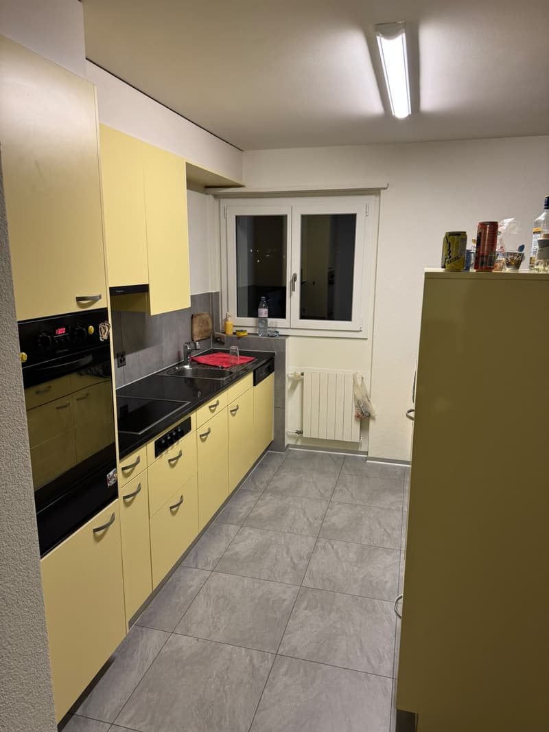 Bright and Spacious 3-room aparment (3)