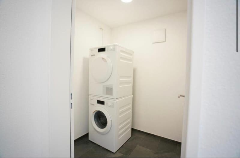wunderschöne 4.5 Zimmerwohnung im grünen (6)