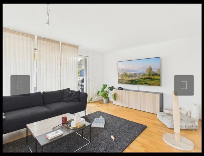 wunderschöne 4.5 Zimmerwohnung im grünen (3)
