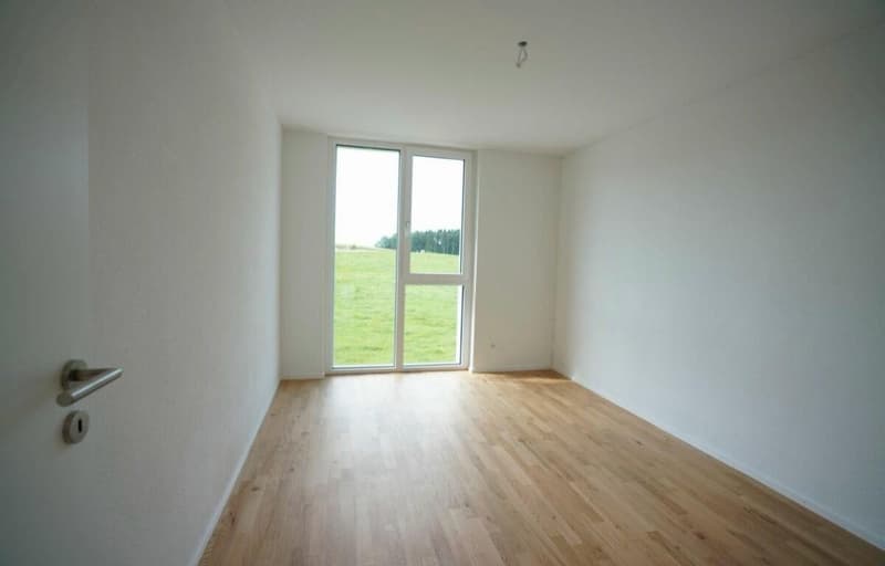 wunderschöne 4.5 Zimmerwohnung im grünen (10)