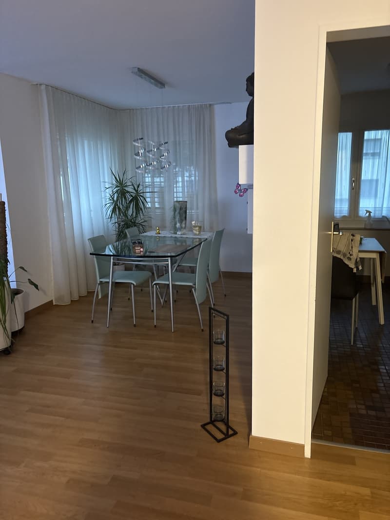 Wohnung (1)