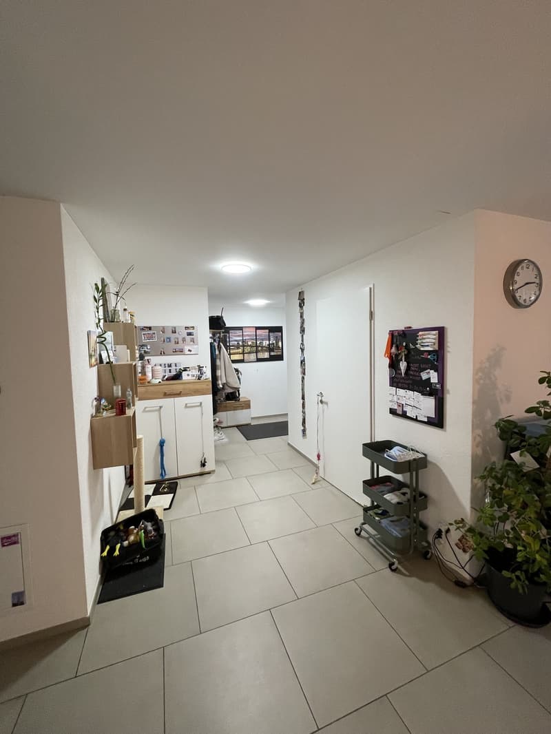3.5-Zimmer-Wohnung mit Balkon im Bahnhof-Quartier Wetzikon (4)
