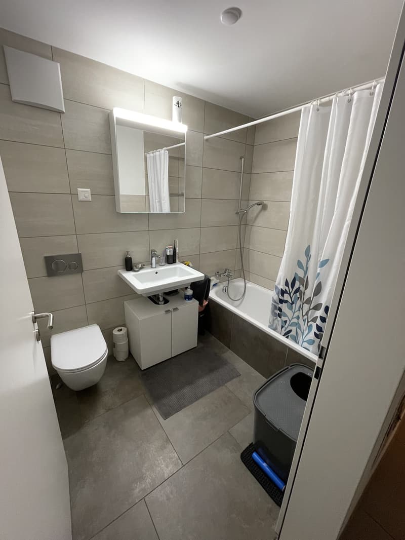 3.5-Zimmer-Wohnung mit Balkon im Bahnhof-Quartier Wetzikon (9)