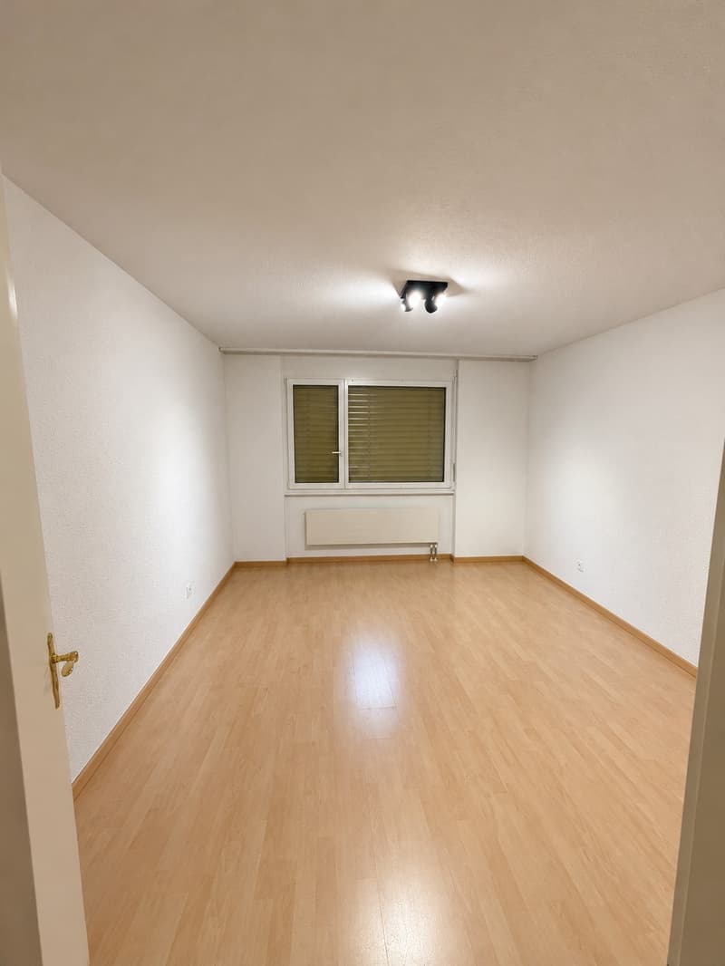 3.5 Zimmer Wohnung mit Top Lage (4)
