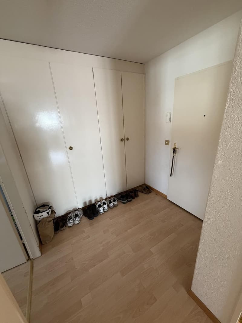 3.5 Zimmer Wohnung mit Top Lage (1)