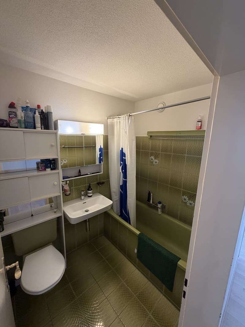 3.5 Zimmer Wohnung mit Top Lage (5)