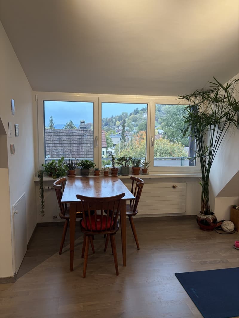 Wunderschöne Dachwohnung in Winterthur Veltheim ab 13. November (2)