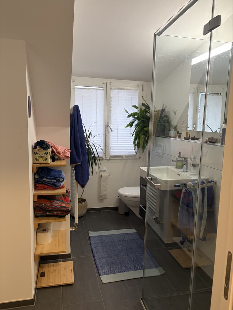 Wunderschöne Dachwohnung in Winterthur Veltheim ab 13. November (5)
