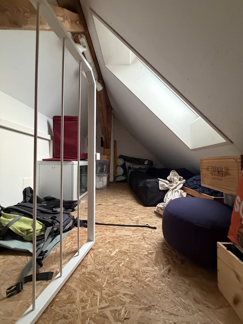 Wunderschöne Dachwohnung in Winterthur Veltheim ab 13. November (7)