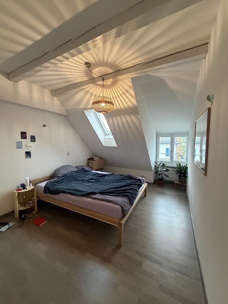 Wunderschöne Dachwohnung in Winterthur Veltheim ab 13. November (4)
