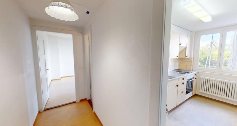Badenerstrasse 562 (6)